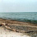 b005.jpg