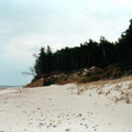 b007.jpg