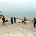 b020.jpg