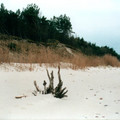 b024.jpg