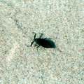 b070.jpg