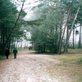 b115.jpg