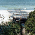 08.jpg