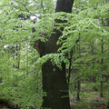 127.jpg
