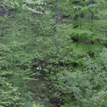 171.jpg