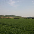 201.JPG