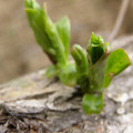 P5020176.JPG