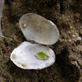 P5020177.JPG