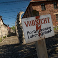 DSC_0621.jpg