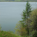 DSC_0714.JPG