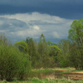 czarna06.jpg