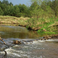 malachow02.jpg
