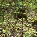 malachow17.jpg