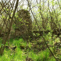 malachow18.jpg