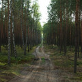 malachow37.jpg
