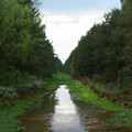 sielpia26.jpg