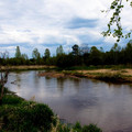 DSC00385.jpg