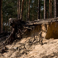 DSC00387.jpg