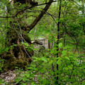 DSC00457.jpg