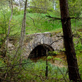 DSC00458.jpg
